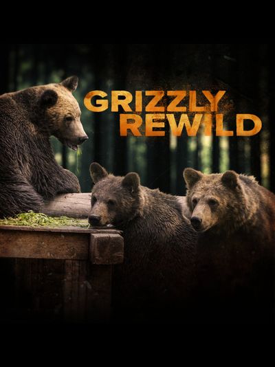 The Nature of Things: Grizzly Rewild poster